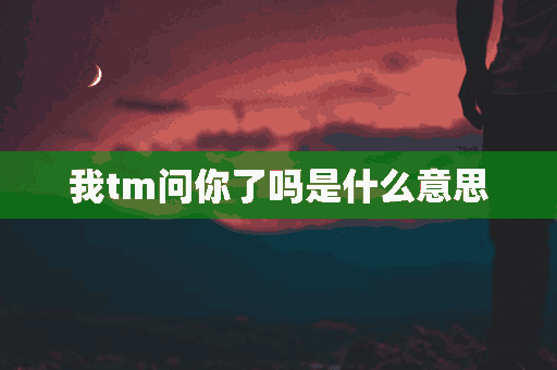 我tm问你了吗是什么意思